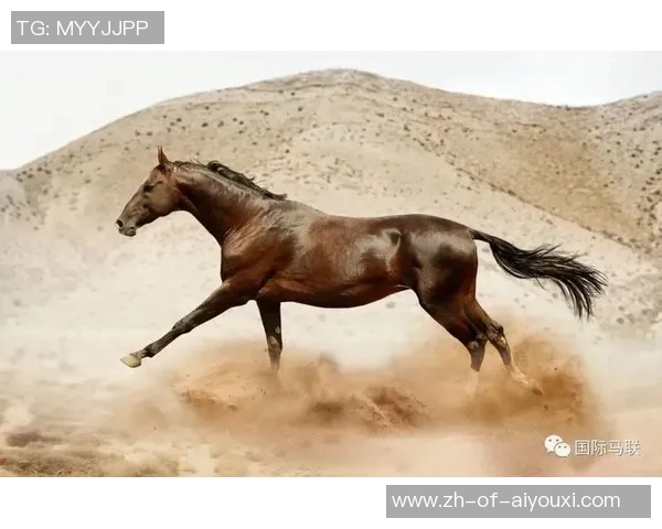 养马情结的足球巨星们:那些与马匹结缘的传奇球员与他们的马场生活 养马情结的足球巨星们:那些与马匹结缘的传奇球员与他们的马场生活